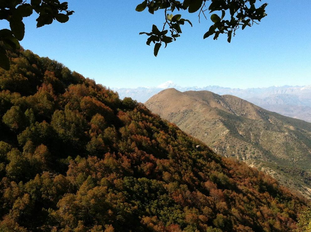 Naturlandschaft Chile