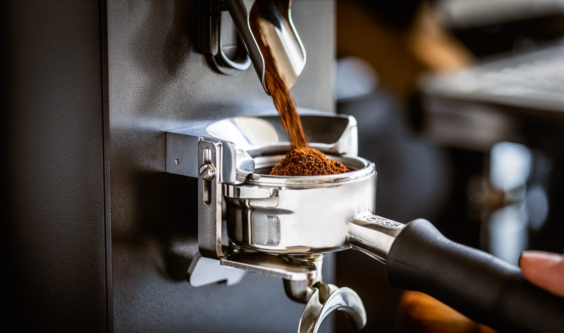 Frisch gemahlenes Kaffeemehl kommt aus der Kaffeemühle und fließt in den Siebträger